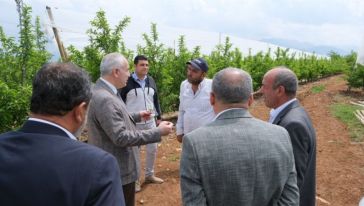 Tarım İl Müdürü Doğanşehir'de Çiftçileri Ziyaret Etti