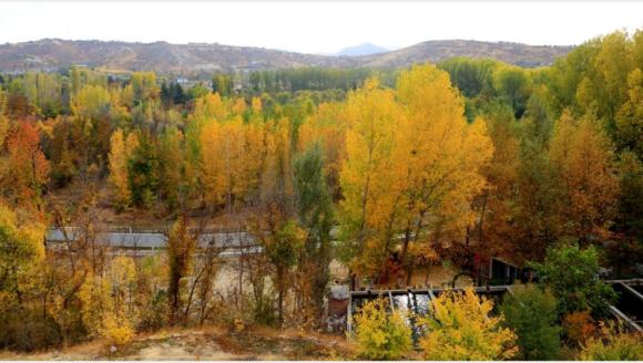 Çırmıhtı ve Çevresinde Son Baharın Her Rengi..