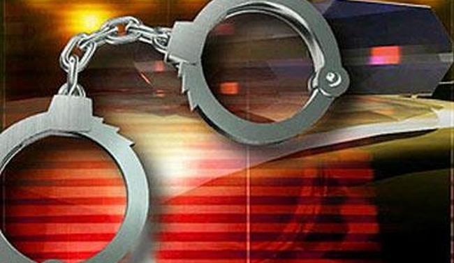 2 Göçmen Kaçakçısı Tutuklandı, Kaçaklar Sınır Dışı Edildi